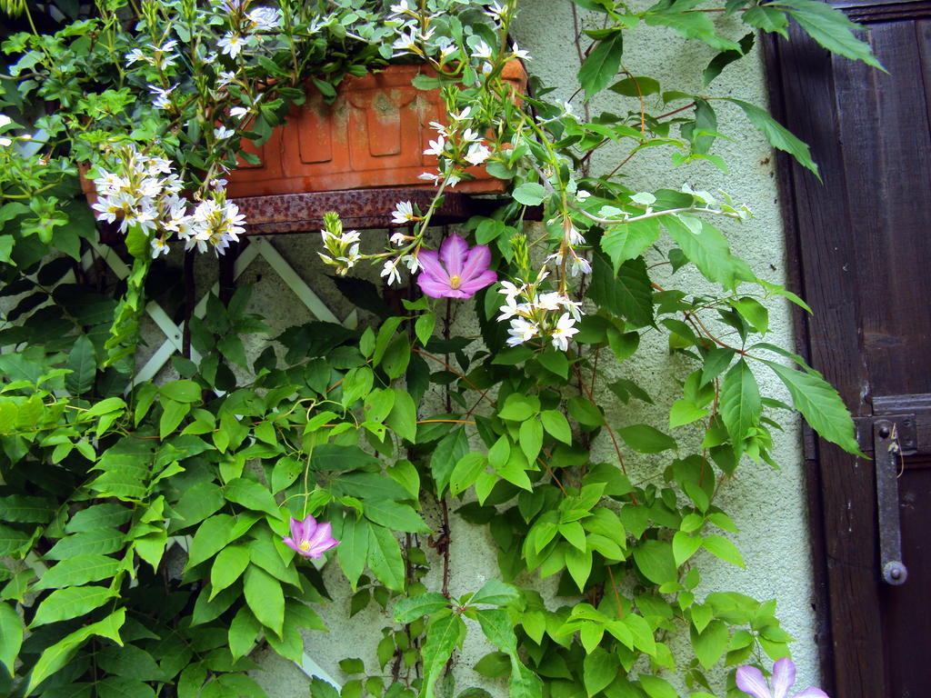 Roulottes Du Rouard Bed & Breakfast Camiers Exterior photo