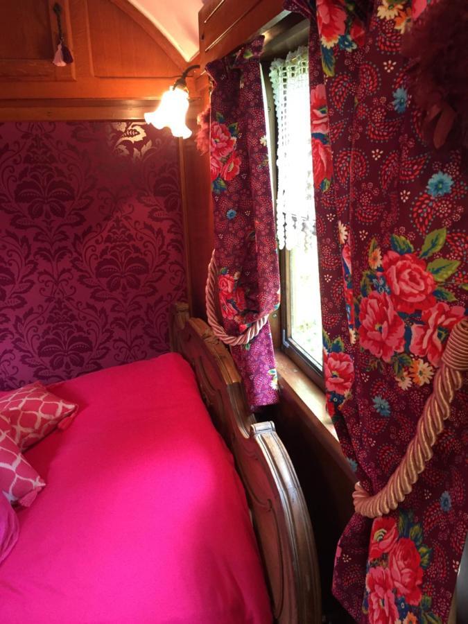 Roulottes Du Rouard Bed & Breakfast Camiers Exterior photo